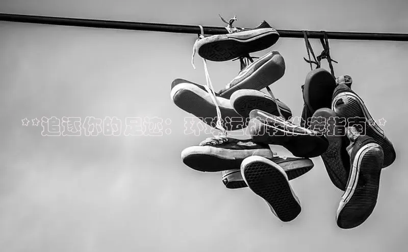 b体育在线登录网页版华扬联众**追逐你的足迹：环球运动鞋推荐指南**