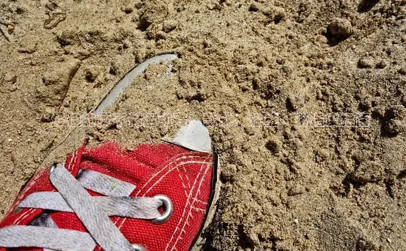 必一体育运动哇咔哇咔文化**最佳的贾不假运动鞋：款式、性能、舒适度指南
**