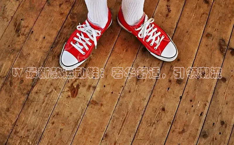 b体育下载入口app极氪智能科技LV 最新款运动鞋：奢华舒适，引领潮流