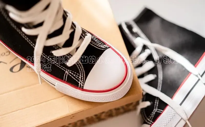 bsports官网首页知乎2024 年最新推出的小众男鞋品牌，引领鞋
履潮流