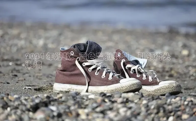 B体育手机网页版登录天键股份2024 年爆款：蓝色监狱鞋履，引领街头
潮流