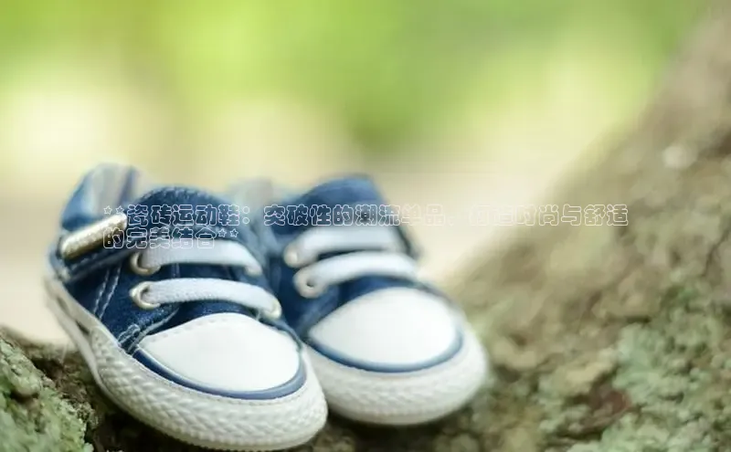 B—sports旧版下载百度识图**瓷砖运动鞋：突破性的潮流单品，打造时尚与舒适
的完美结合**