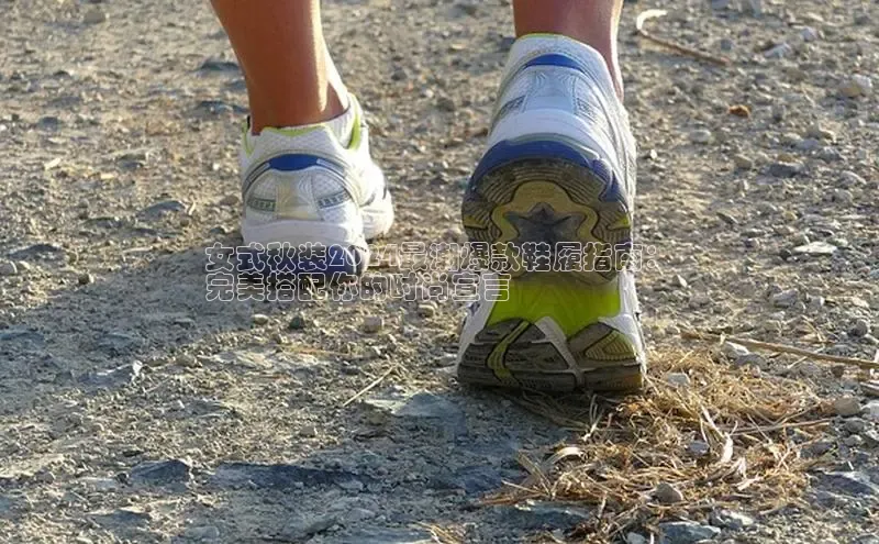 必一体育sport网页版登录云创智行女式秋装2024最潮爆款鞋履指南：
完美搭配你的时尚宣言