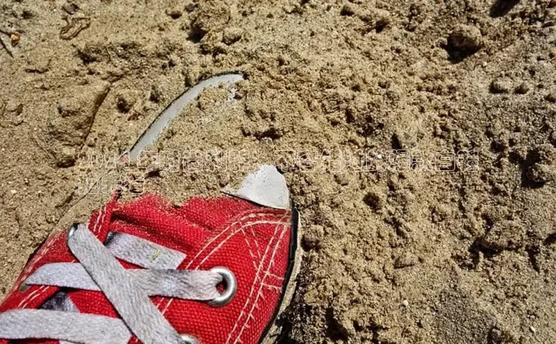 B—sports旧版下载百度识图2024 年时尚利器：不容错过的爆款白鞋
抢先看