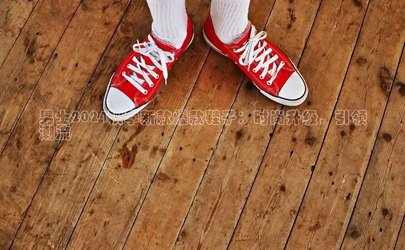 Bsports在线登录入口普信公司男士2024秋季新款爆款鞋子：时尚升级，引领
潮流
