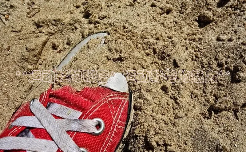 Bsports官网赛富乐斯**运动鞋的秘密：运动鞋卷的魅力**