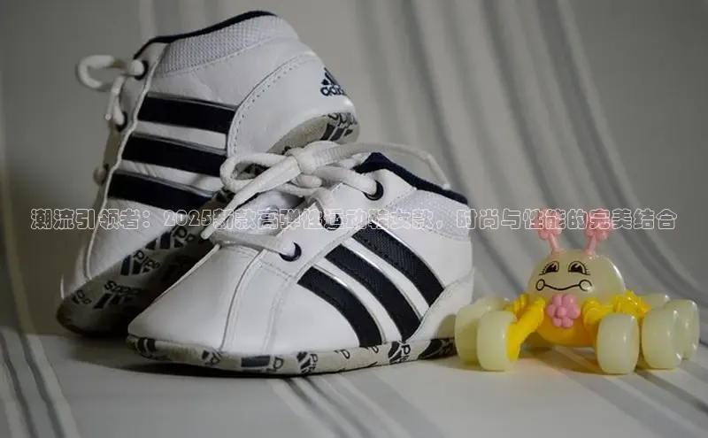 潮流引领者：2025新款高弹性运动鞋女款，时尚与性能的完美结合