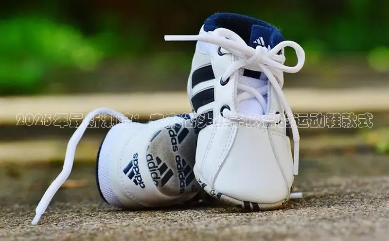 2025年最新潮流：未来街头小子必备的运动鞋款式